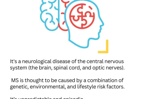 Graphic of a brain split into two halves, illustrating multiple sclerosis for MS Canada.
