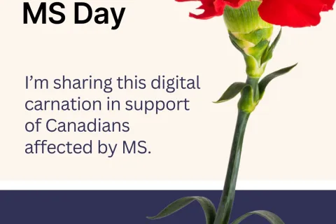 Red digital carnation for World MS Day, May 30, in support of Canadians affected by MS.