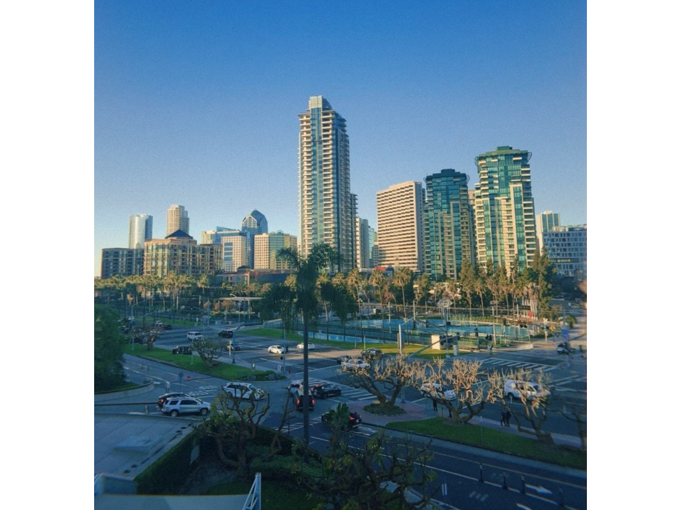 Image of the San Diego skyline from the ACTRIMS venue.