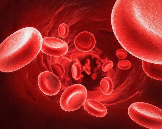 Blood cells in circulation